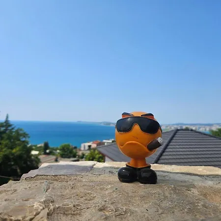 Friends * Vlorë